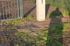 IMG_20231207_140254-scaled