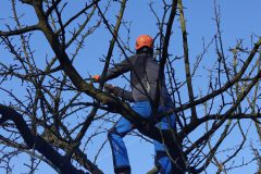 IMG_20240127_123140-scaled